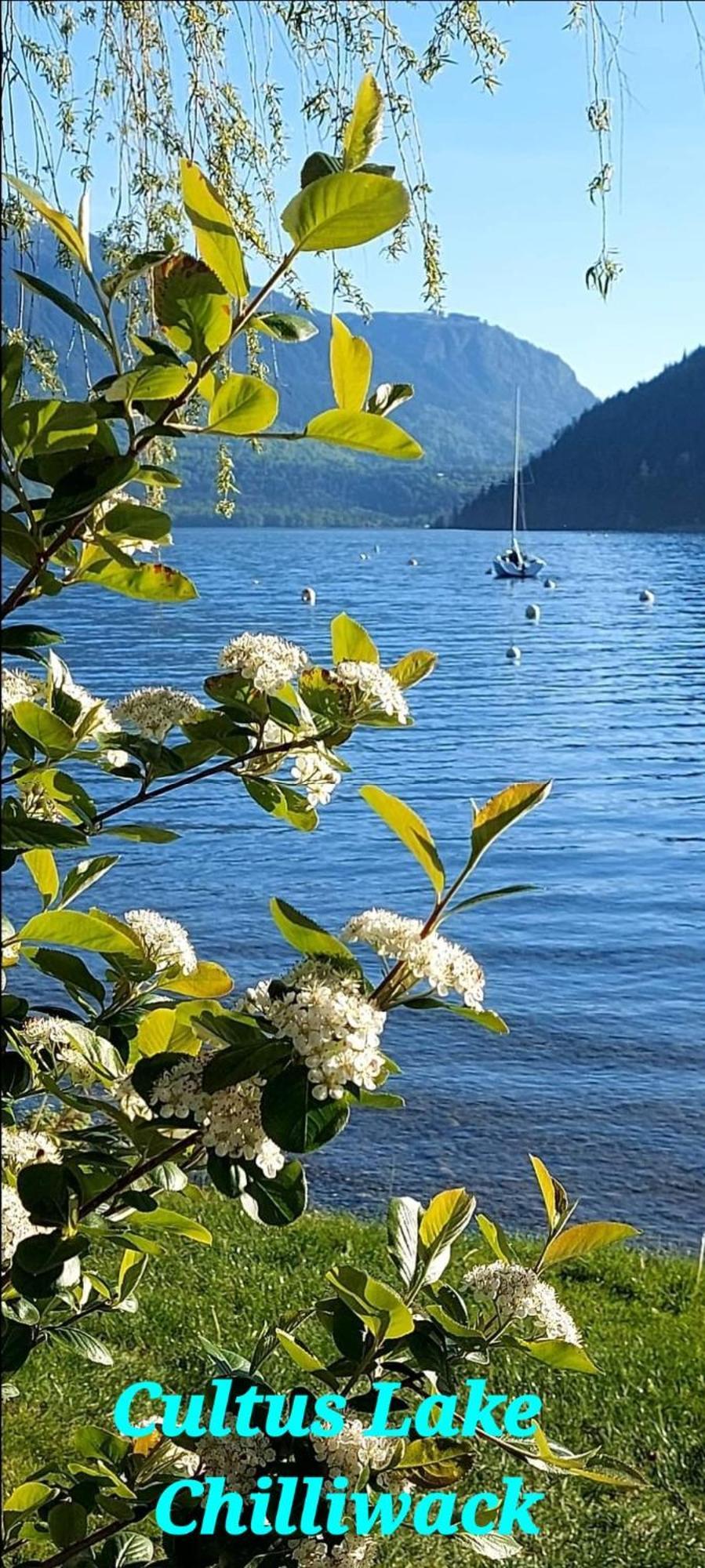 Private Suite 2Br Near Hwy 1, Heritage Park, Coliseum, Cultus Lake, Fishing, Chilliwack Habitación foto